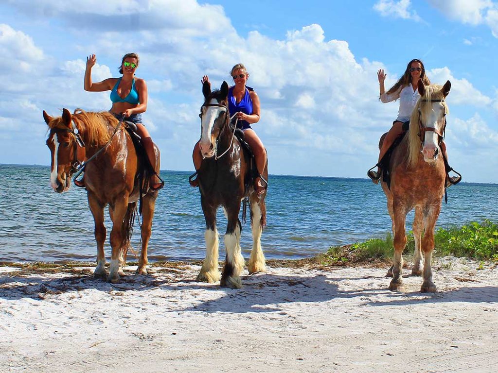 Horseback Riding Along St. Lucia Beach