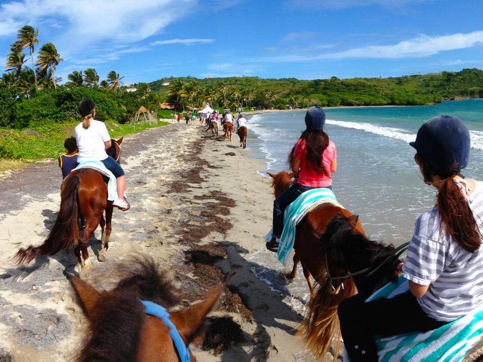 Horseback Riding in St. Lucia