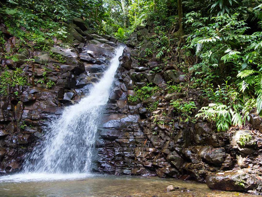Waterfall in St. Lucia Rainforest