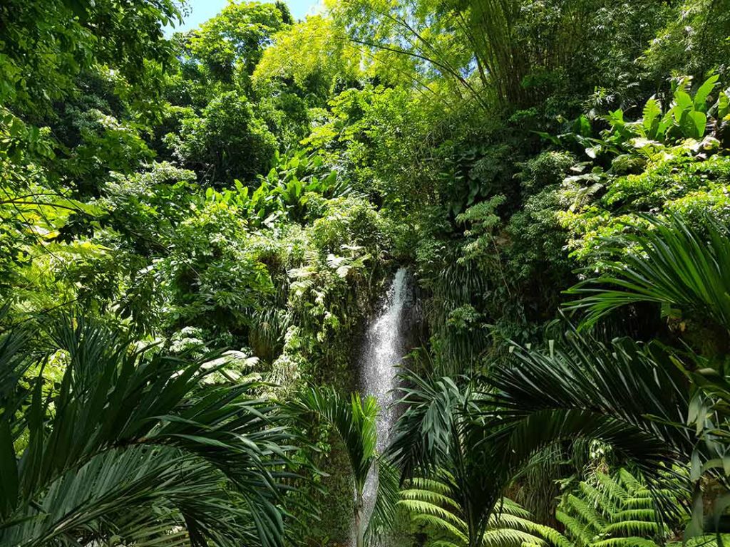 Toraille Waterfall