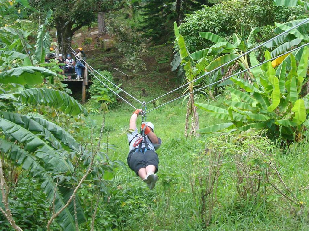 Zip Lining at Rainforest Adventures Nature Park