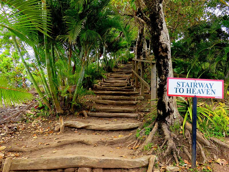 Tet Pual Nature Trail Stairway to heaven