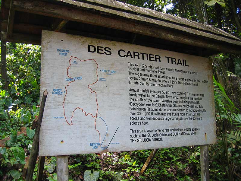 Des Cartiers Hiking Trail - St. Lucia