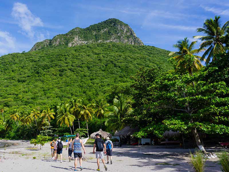 Hiking in St. Lucia - Gros Piton Nature Trail