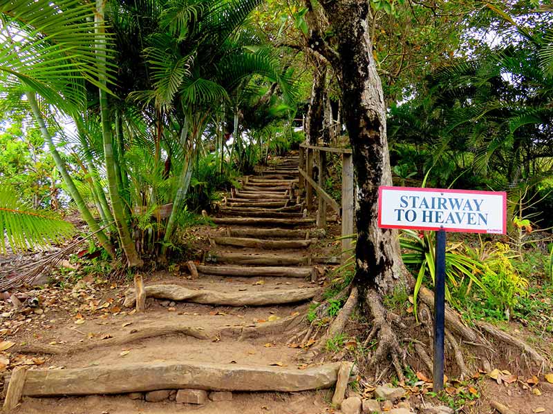 Hiking Tet Paul Nature Trail in St. Lucia